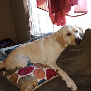 Meet your Posher, Isaac